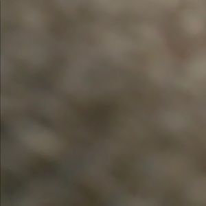 Meet your Posher, Sal